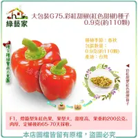 在飛比找Yahoo奇摩購物中心優惠-【綠藝家】大包裝G75.彩紅甜椒(紅色甜椒)種子0.9克(約