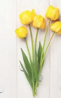 在飛比找博客來優惠-Yellow Tulip Floral Notebook: 