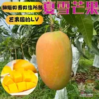 在飛比找樂天市場購物網優惠-【緁迪水果JDFruit】台灣小農-台東在欉紅夏雪/蜜雪芒果