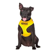 NERVOUS - Medium adjustable Vest Harness