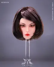 1/6 YMTOYS YM073B Mei Er Female Head Carved F 12" Suntan TBLeague Body Action Fi