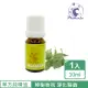 【Phoenix 菲馜思】樟樹天然單方純精油10ml/1入(香氛薰香/清潔/泡澡沐浴)