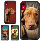 For iPhone XS 11 12 13 14 15 16 Pro Max Tough Case graceful Hungarian Vizsla dog