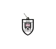 keychain key chain ring flag national souvenir shield sligo
