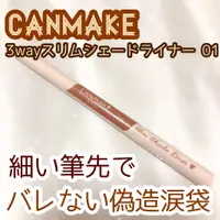 在飛比找蝦皮購物優惠-現貨💕日妝本舖💕日本Canmake 三合一激細眼妝筆 眼線筆