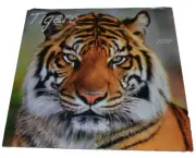 Wall Calendar 2009 TIGERS by PLATO SEALED! THEO ALLOFS, KIM SULLIVAN & Others