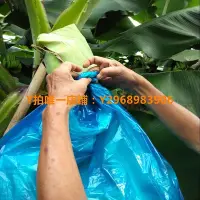 在飛比找Yahoo!奇摩拍賣優惠-防蟲袋 農用香蕉套袋有孔無孔一體袋定型專用防寒連體袋水果套袋