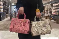 在飛比找Yahoo!奇摩拍賣優惠-全新 COACH 蔻家 C8510 美國正品代購新款手工製作