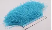 Turquois Ostrich Feather Trims Fringes Sewn on Feather 1 Yard (USA)