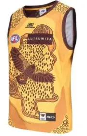 Hawthorn Hawks 2024 AFL Kids Indigenous Guernsey Sizes 6-14 BNWT