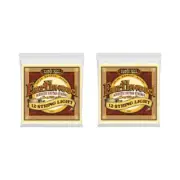 Ernie Ball Guitar Strings 2 Sets 12-String Acoustic Earthwood Light 2010