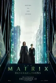 Free Same Day Shipping THE MATRIX Resurrections (B) Neo Borderless 11x17 Poster