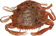 Gulp! Saltwater Peeler Crab