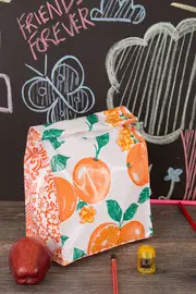 Lunch Bag Oranges--BEN-BE-LBOW