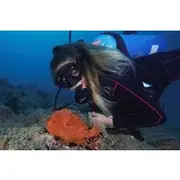 Save 10.00%! Diving tour in Isla del Caño for certified divers