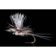 Kyle's Nesameletus Dry Freshwater Fly