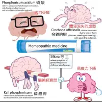 在飛比找蝦皮購物優惠-法國布瓦宏Boiron順勢糖球循環組