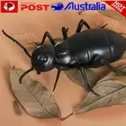 Remote Control Mock Fake Cockroach Insects Infrared Rc Toy Prank Roach Kid Gift✲