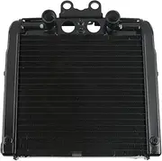Rynplex Motorcycle Aluminum Engine Radiator Cooler, for Harley, Davidson V Rod VRSCB VRSCA 2004-2013 Motorcycle Engine Radiator