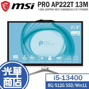 MSI 微星 PRO AP222T 13M-209TW 21.5吋 AIO電腦 i5-13400/8G/512G 光華