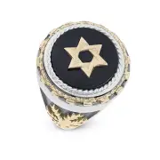 925 Sterling Silver and Gold Onyx Star of David Palm Tree Ring