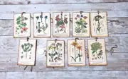 9~Vintage~Ephemera~Flowers~Junk Journal~Linen Cardstock~Gift~Hang~Tags