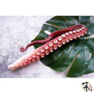 【一井水產】日本 北海道 熟凍 巨大章魚腳 章魚
