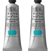 2x Winsor & Newton 60ml Professional Acrylic Colour Cobalt Turquoise Light S4