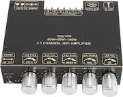 POENVFPO 2.1 Channel Amplifier Module with AM Anti Interference Function - Ideal for DIY Projects