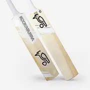 Kookaburra Ghost 4.0 Junior English Willow Cricket Bat (Size 5)