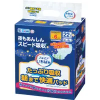 在飛比找蝦皮購物優惠-日本一番 成人替換式尿片 夜用型🌃(加大版) (22片/包)