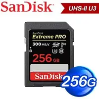 在飛比找AUTOBUY購物中心優惠-SanDisk Extreme Pro 256GB SDXC