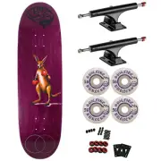 Jacuzzi Premium Skateboard with Ace Trucks, Spitfire Wheels - 9.125" Pilz IQ