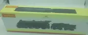 Hornby BR N15 King Arthur Class 4-6-0 Sir Hervis de Revel Era 4 OO Gauge Train