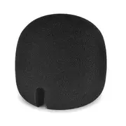 Portable Microphone Dust Cover Windproof Microphone Windshield Cover Wind Muff Filter for ZOOM H2N Recorder Black