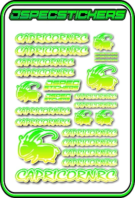 CAPRICORN RC STICKER A5 LAB 1/8 F1 1/10 TESLA ELECTRIC NITRO CAR HARD YEL GRE W