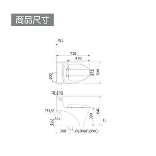 CAESAR 凱撒 省水單體馬桶C1353 普級省水、SIAA抗菌便座、經典低水箱 不含安裝