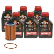 6L Motul 8100 X-CLEAN EFE 5W30 Wix Filter Motor Oil Change Kit API SN