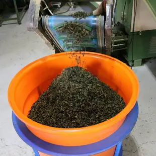 【采樂茶業】三角立體茶包-紅烏龍茶｜中焙｜3克x15入/1盒｜蜜香、焦糖香｜辦公室、外出、旅遊必備台灣茶｜熱泡、冷泡茶