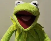 Scentsy Buddy KERMIT The FROG w Scent pak MUPPETS DISNEY™️ Kids 16” Plush NEW!