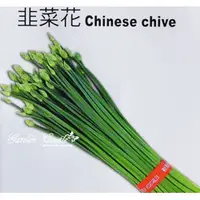 在飛比找蝦皮購物優惠-【全館590免運】韭菜花種子 Chinese chive~ 