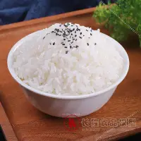在飛比找蝦皮購物優惠-臺灣模具🥣🥣仿真米飯模型食品菜品模型米飯假樣模具食物假菜樣品