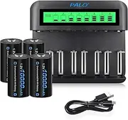CITYORK LCD Universal Battery Charger, For Batteries 8 AA/AAA or 4 C/D, Independent Charging Channel by Fast Charger - with 4 * D Cell 8000mAh Batteries