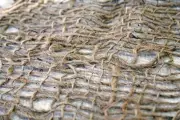 Jute Mesh Erosion Control Webbing 1200mm x 68M Matting Soil Plant Landscape