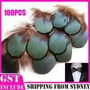 100x Hen Pheasant Peacock Tail Eye Goose Feathers Wedding Millinery DIY Craft AU