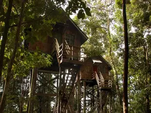 美景雨林度假村Permai Rainforest Resort