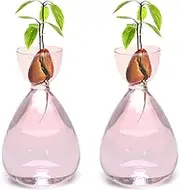 CYZglass Avocado Vase Avocado Seed Starter Vase Glass Propagation Vase Plant Vase Gife for Gardening Lover (2pc Avocado vases)