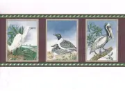 Seagulls Pelican Heron Birds Beach Seashore Frame Purple Green Wallpaper Border