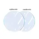 Tracker Skin Protective Film Anti-Glare Film Screen Protector Film Clear 2PCS *