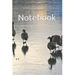 NOTEBOOK: LINED, SOFT COVER, NOTEBOOK, JOURNAL, PLAIN NOTEBOOK